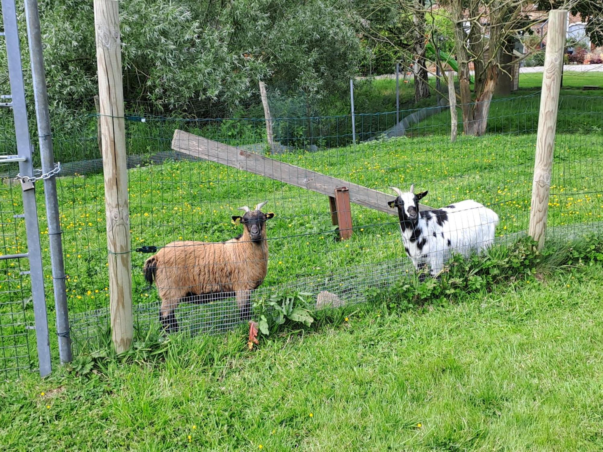 Monts De Flandre Insolite Berthen Zewnętrze zdjęcie